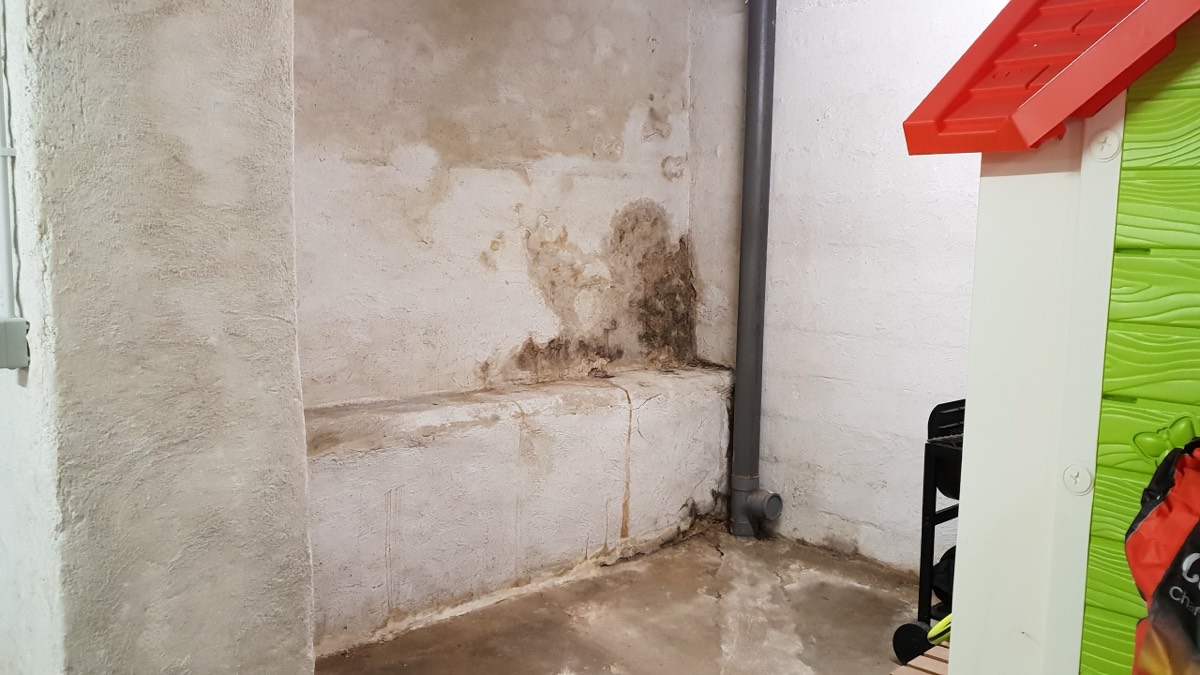 Infiltrations d'eau - Expertise humidité à Lyon